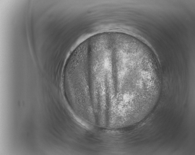 X0000080141525200612221910