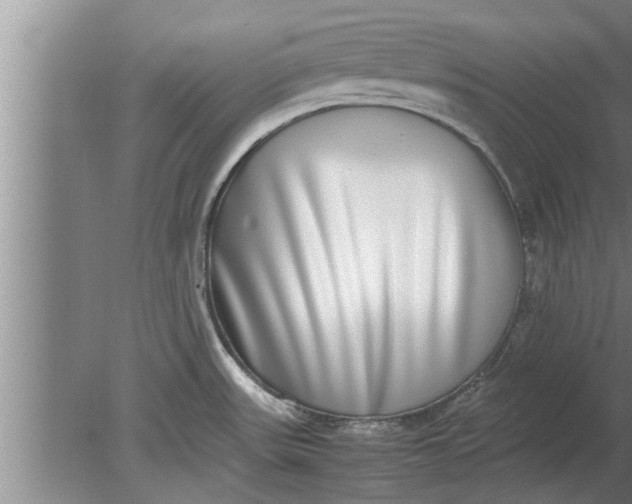 X0000080141531200612221910