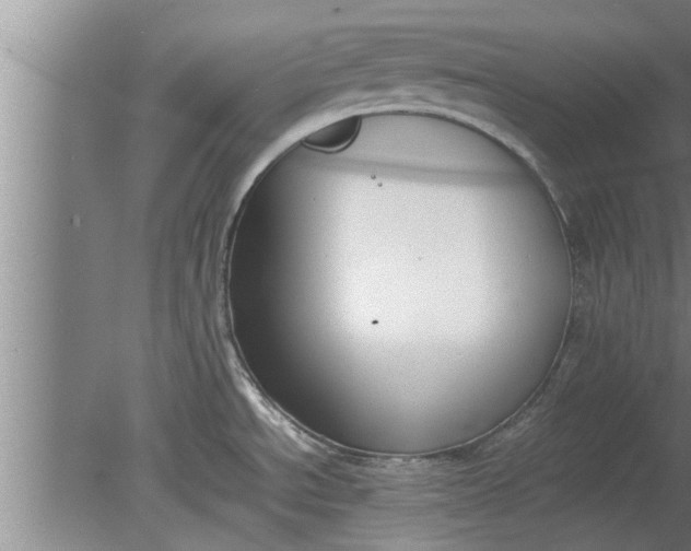 X0000080141534200612221910