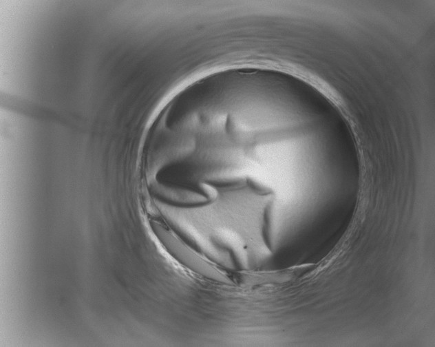 X0000080141536200612221910