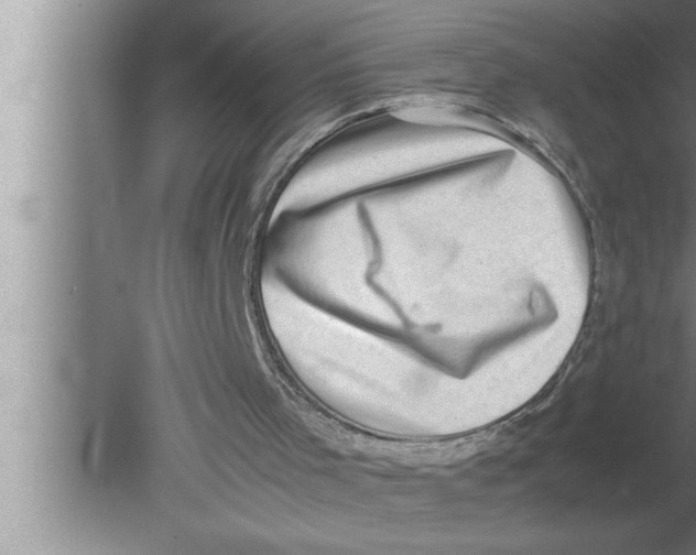 X0000080140001200612302114