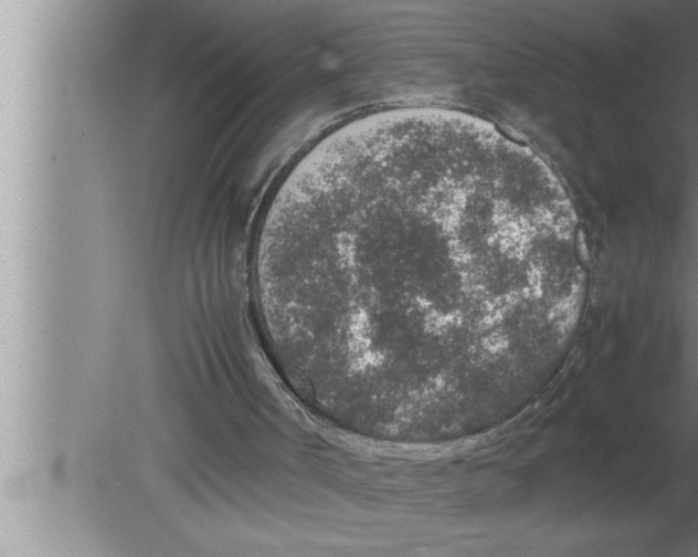 X0000080140002200612302114