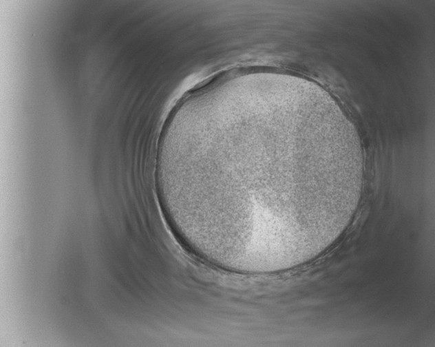 X0000080140003200612302114