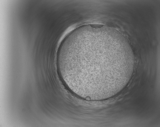 X0000080140006200612302114