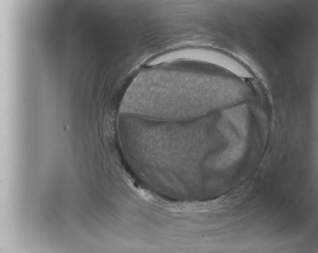 X0000080140009200612302114