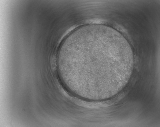 X0000080140012200612302114