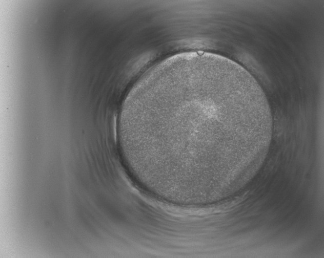 X0000080140014200612302114