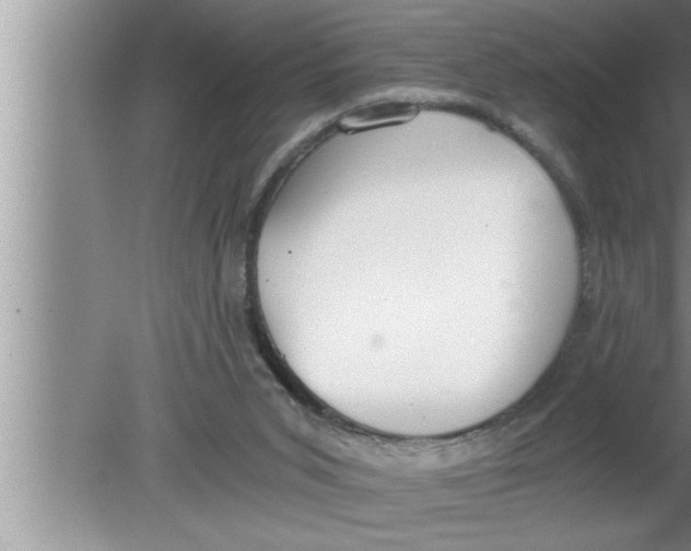 X0000080140015200612302113