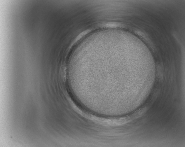 X0000080140016200612302113