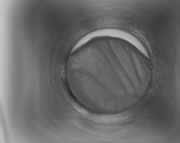 X0000080140017200612302113