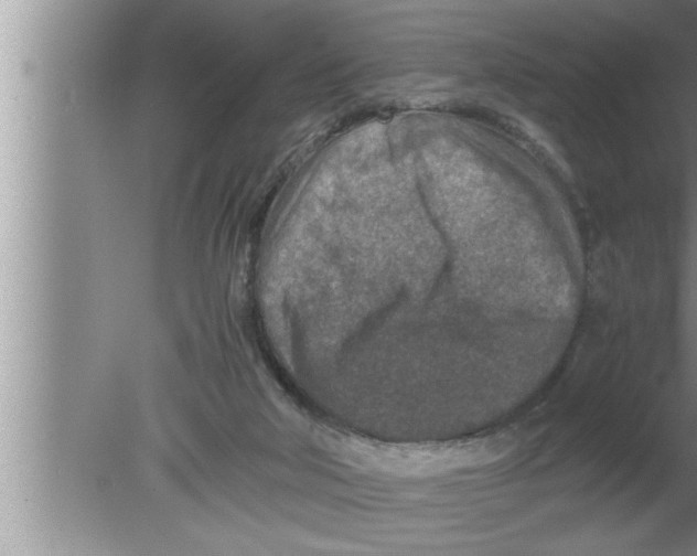 X0000080140018200612302113