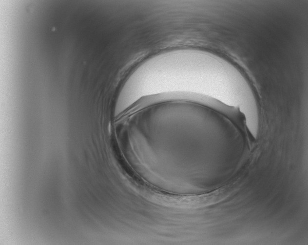 X0000080140019200612302113