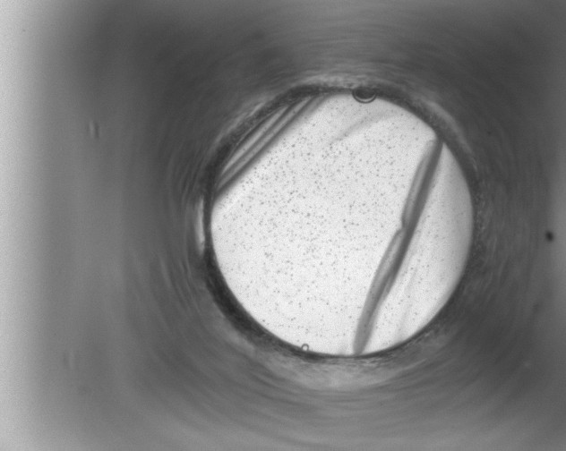 X0000080140020200612302113