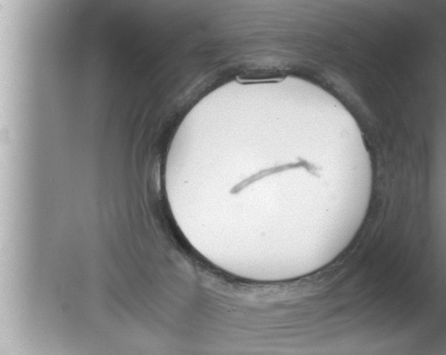 X0000080140021200612302113