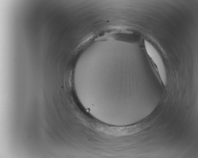 X0000080140023200612302113