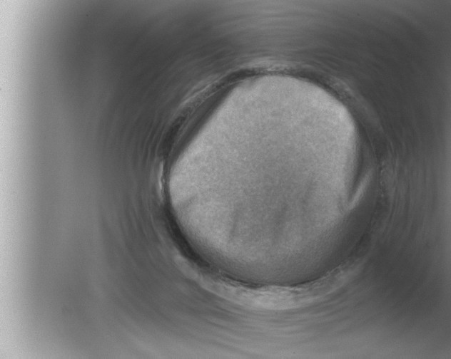 X0000080140024200612302113