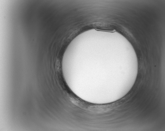 X0000080140025200612302113