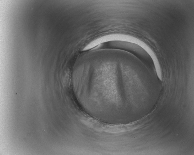 X0000080140029200612302113