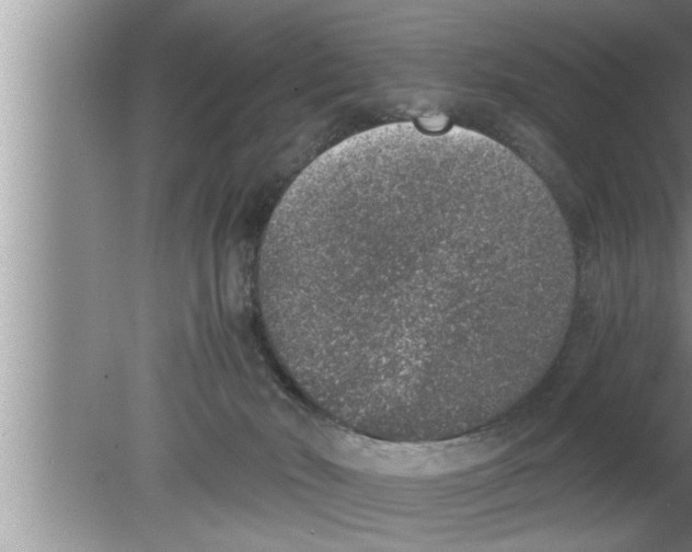 X0000080140030200612302113