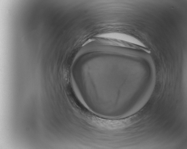 X0000080140031200612302113