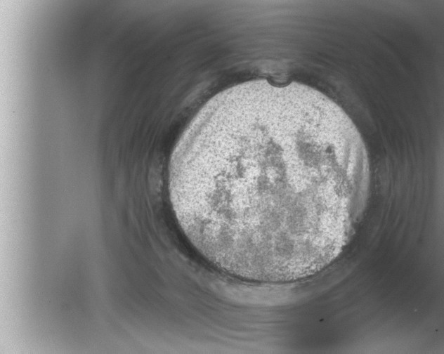 X0000080140032200612302113