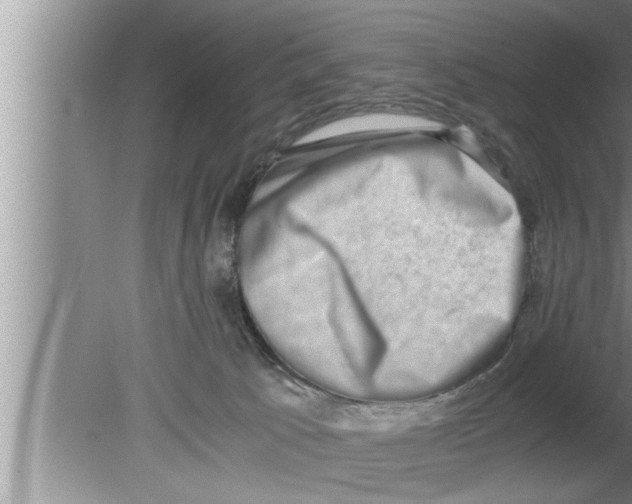 X0000080140033200612302113