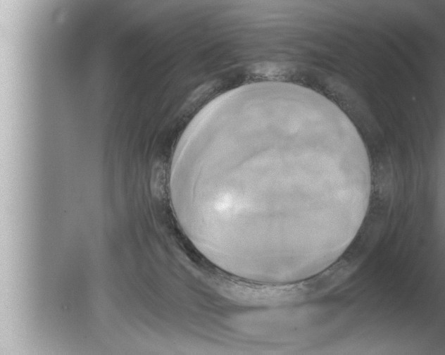 X0000080140036200612302113