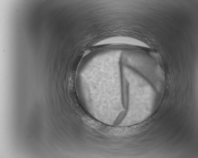 X0000080140037200612302113