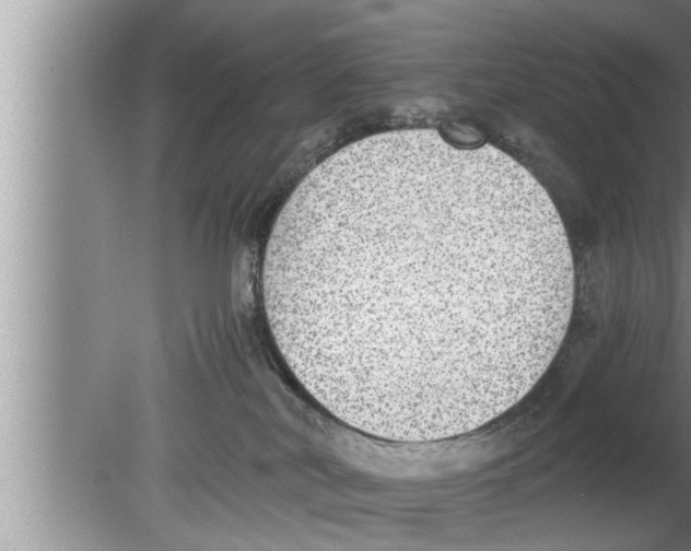 X0000080140038200612302113