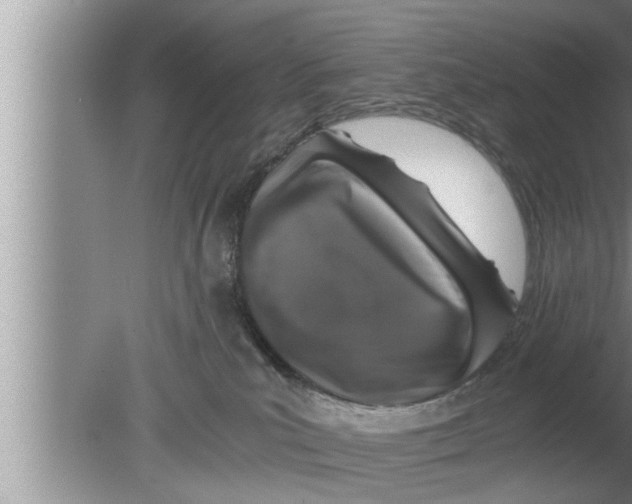 X0000080140039200612302113