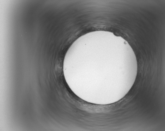 X0000080140040200612302113