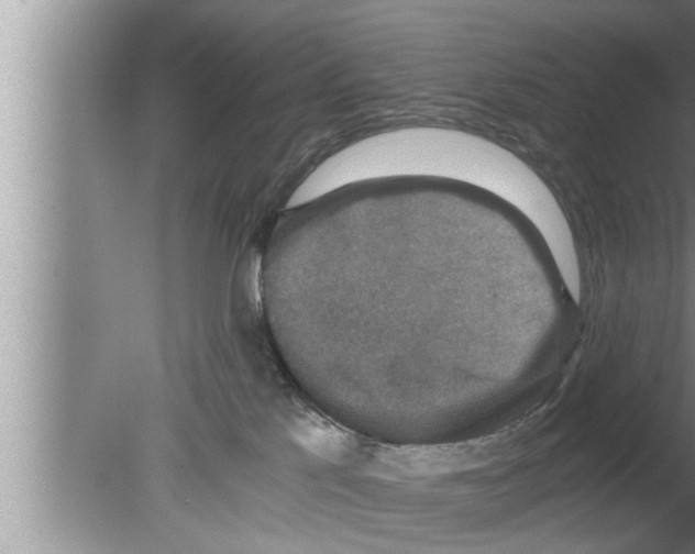 X0000080140041200612302113