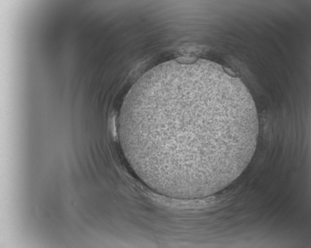 X0000080140042200612302113