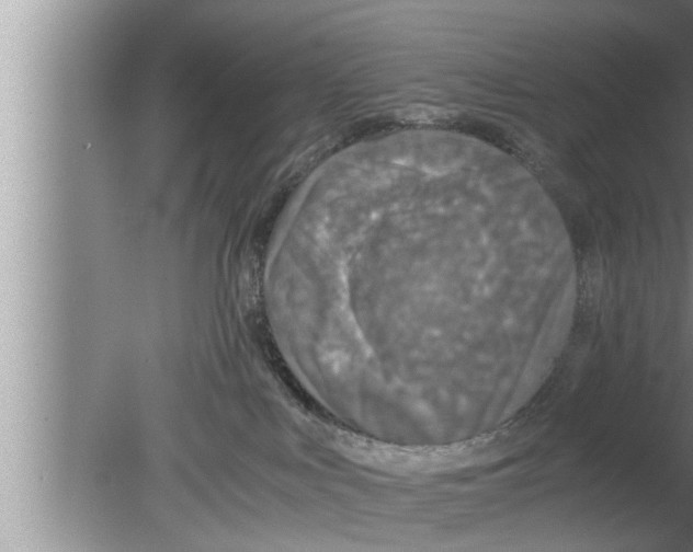 X0000080140043200612302113