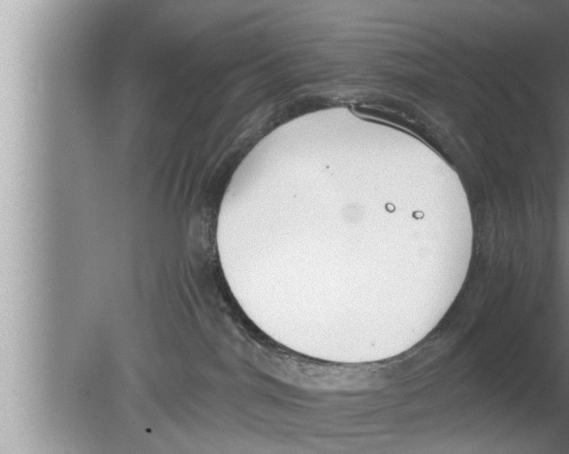 X0000080140044200612302113