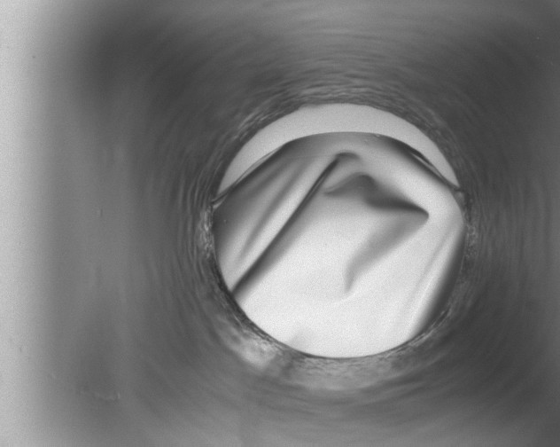 X0000080140045200612302113