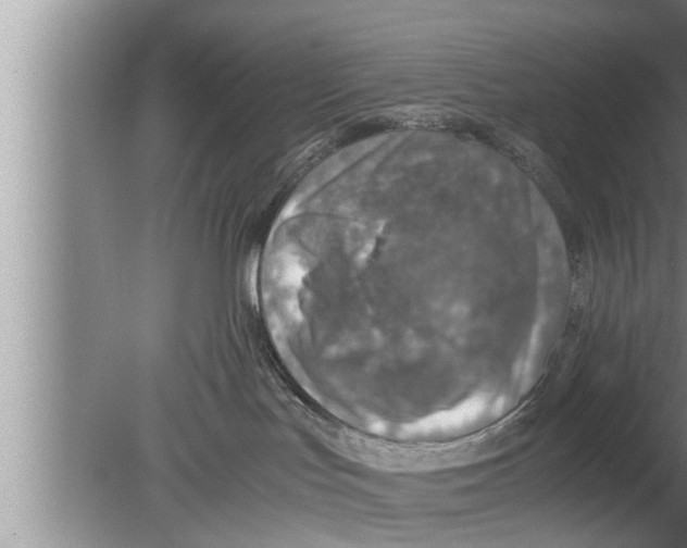 X0000080140047200612302113