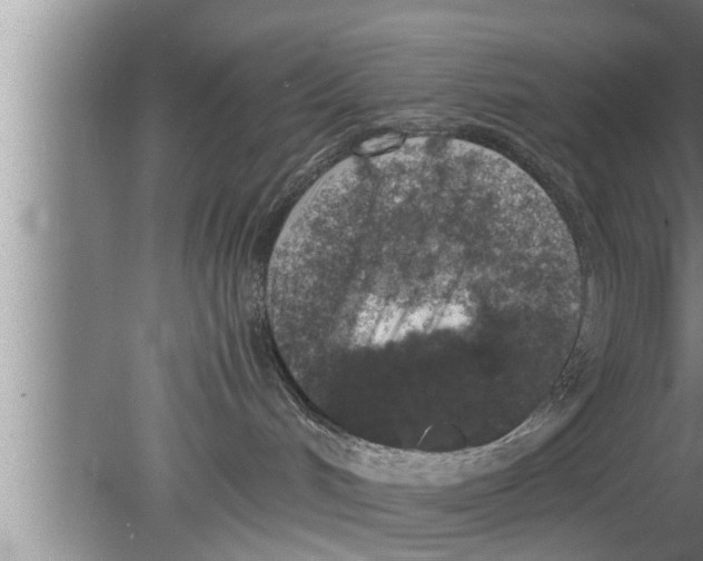 X0000080140048200612302113