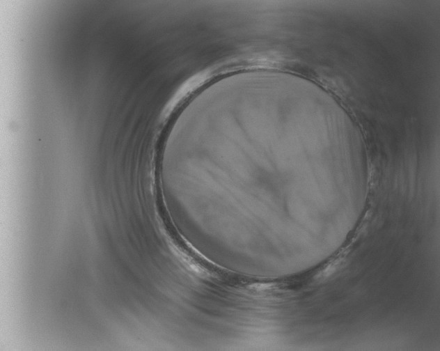 X0000080140054200612302112