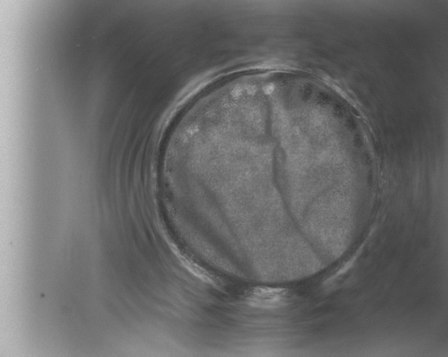 X0000080140055200612302112