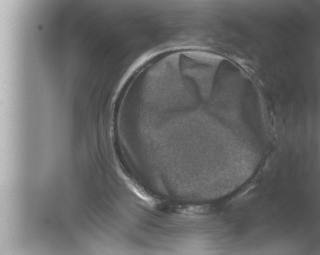 X0000080140056200612302112