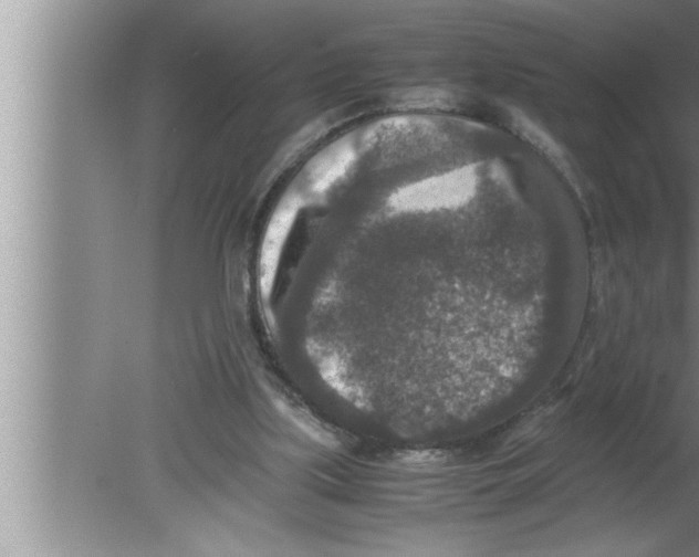 X0000080140059200612302112