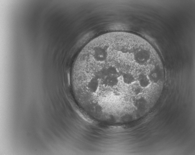 X0000080140061200612302112