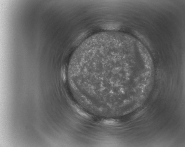 X0000080140069200612302112