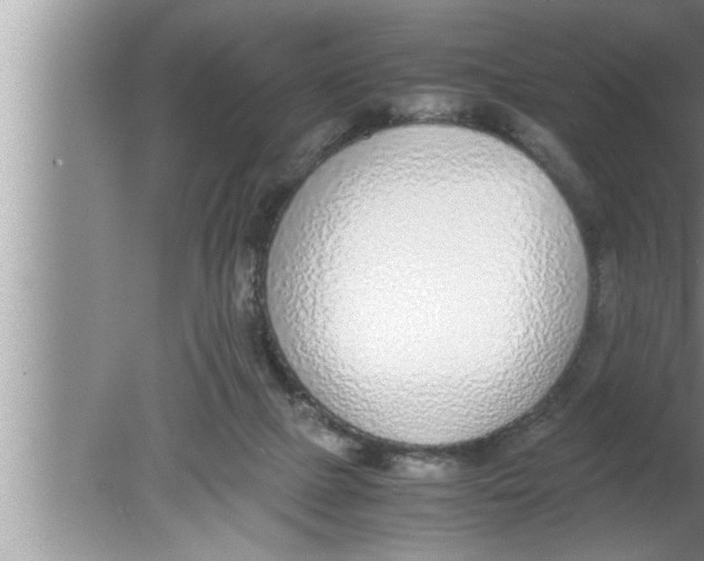 X0000080140073200612302113