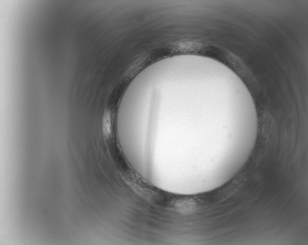 X0000080140075200612302113