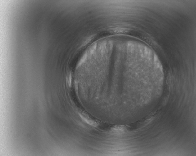 X0000080140076200612302113