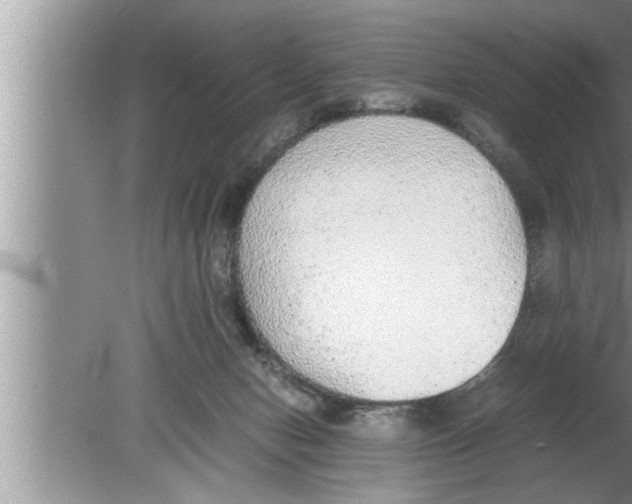 X0000080140078200612302113