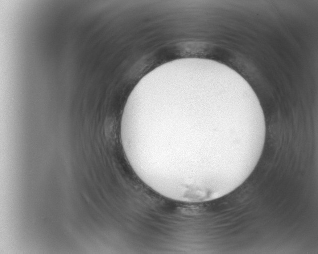 X0000080140079200612302113