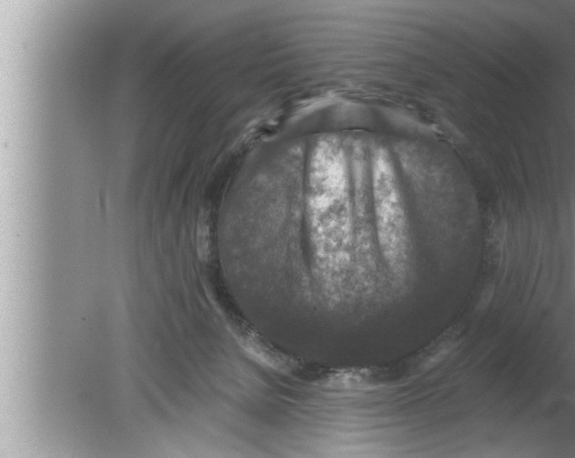 X0000080140080200612302113